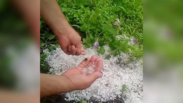 Шок! В Краснодарском крае выпал град размером с вишню и нанёс урон хозяйству. Станица Гривенская