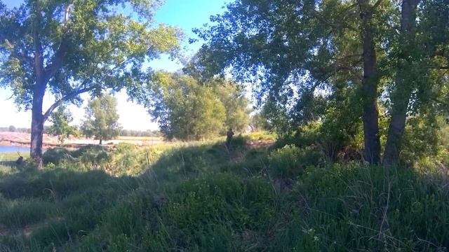 Пострелушки с SJCAM 8 PRO часть 2