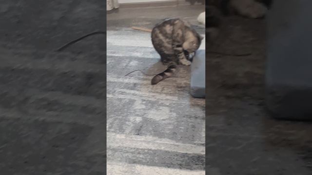 Я занят. Что хотела?