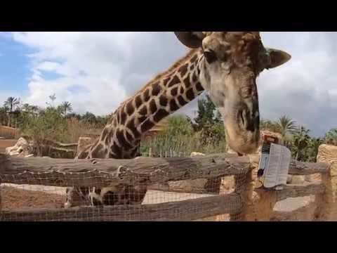 Río Safari Elche Zoo in Alicante, Spain