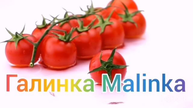 Ольга Уралочка live /Истерика /Еле успокоили /Обзор Влогов /Уралочка и Сафар /