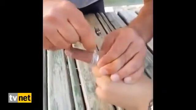 Шакекти кантип чыгарса болот