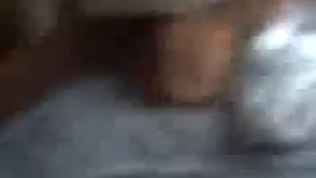 Кусачий кот