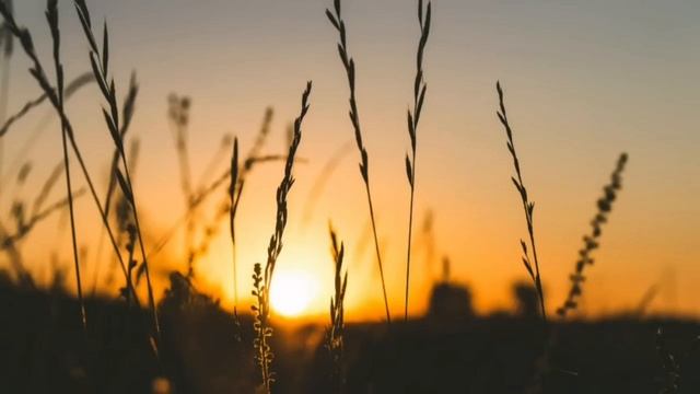 Good music AMBIENT CHILLOUT LOUNGE RELAXING MUSIC - Background Music for Relax. Sleep and dream