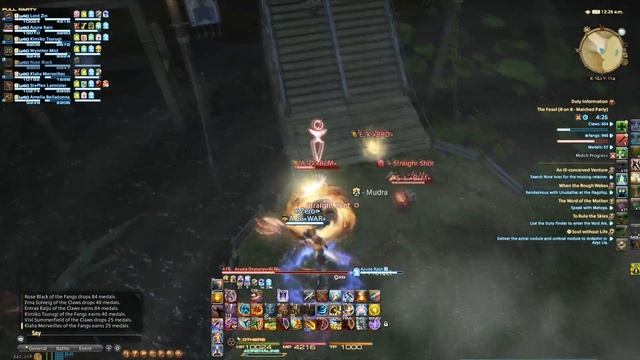 Do you even Ninja, bro? (Final Fantasy-XIV)