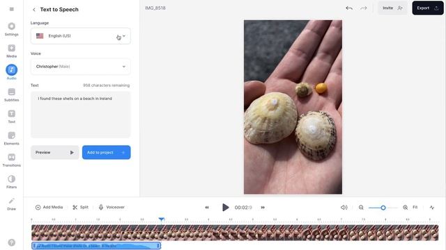 FREE Text to Speech Software for TikTok, IG, and YT Videos ??