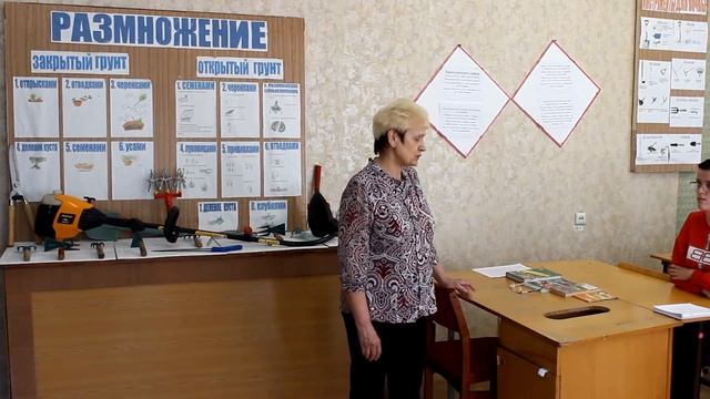 Профессиональное обучение в техникуме отраслевых технологий