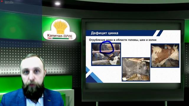 Вебинар ПРЕМИКСЫ как готовый продукт!