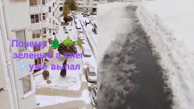 треш беру свои слова обратно