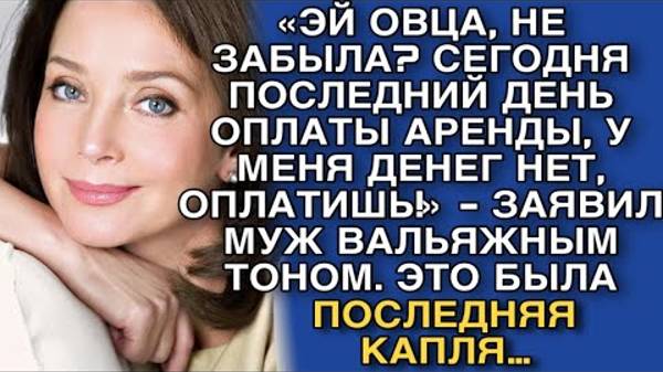 «ОВЦА, НЕ ЗАБЫЛА? СЕГОДНЯ ПОСЛЕДНИЙ ДЕНЬ ОПЛАТЫ АРЕНДЫ, У МЕНЯ ДЕНЕГ НЕТ, ОПЛАТИШЬ!» - ЗАЯВИЛ МУЖ