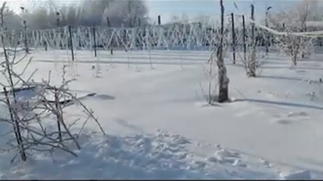 MVI 0215 x264  28 декабря наступила настоящая зима
