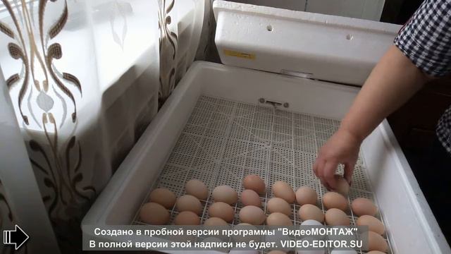 Инкубатор несушка на 104 яйца.Обзор