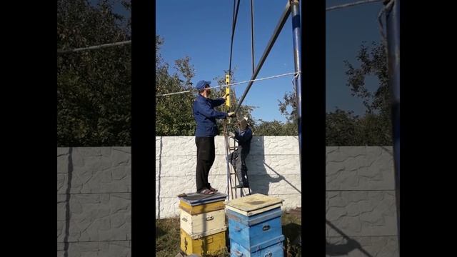 Навес над пчелами
