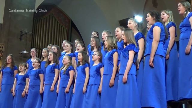 'Metsan Sahkosanoma' (Uno Naissoo) performed by the Cantamus Training Choir