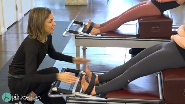 Old School Reformer PREVIEW