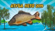 река Ахтуба лето 2019
