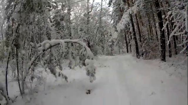 01. 11 23 г. Лыжи.  Первый снег, вкатка.