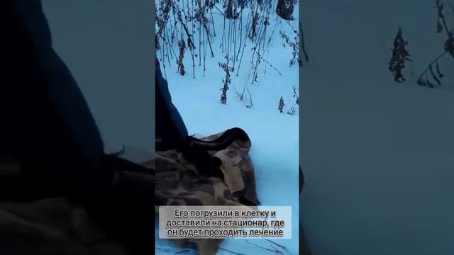 20 февраля 2020 г.