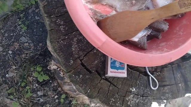 Жарю рыбу на щепочнице