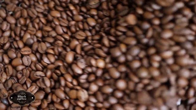 Black Coffee - кофейня в самом сердце Доброполья