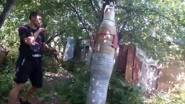 Тхэквондо - Работаю по Мягкой груше