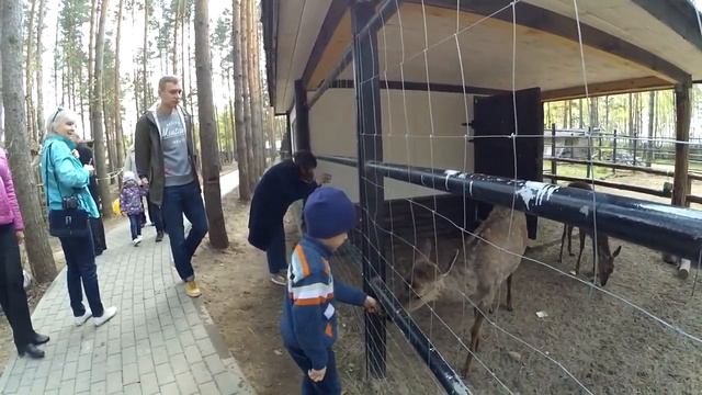 В некотором царстве