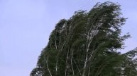 Штормовой порыв ветра при прохождении холодного фронта над городом Вязники 30.04.2024