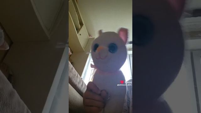1000003651.mp4