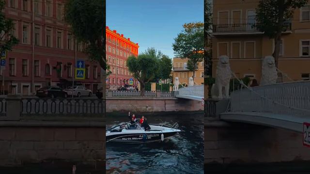 львиный мост,Санкт-Петербург.#природа #мир #путешествия #рекомендации подписка лайки