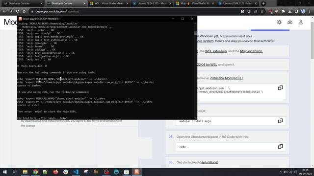 How To Install Mojo Programming Language