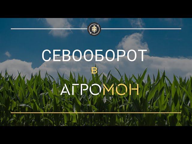 Планируем севооборот в АгроМон