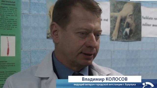 Защитная сила вакцины