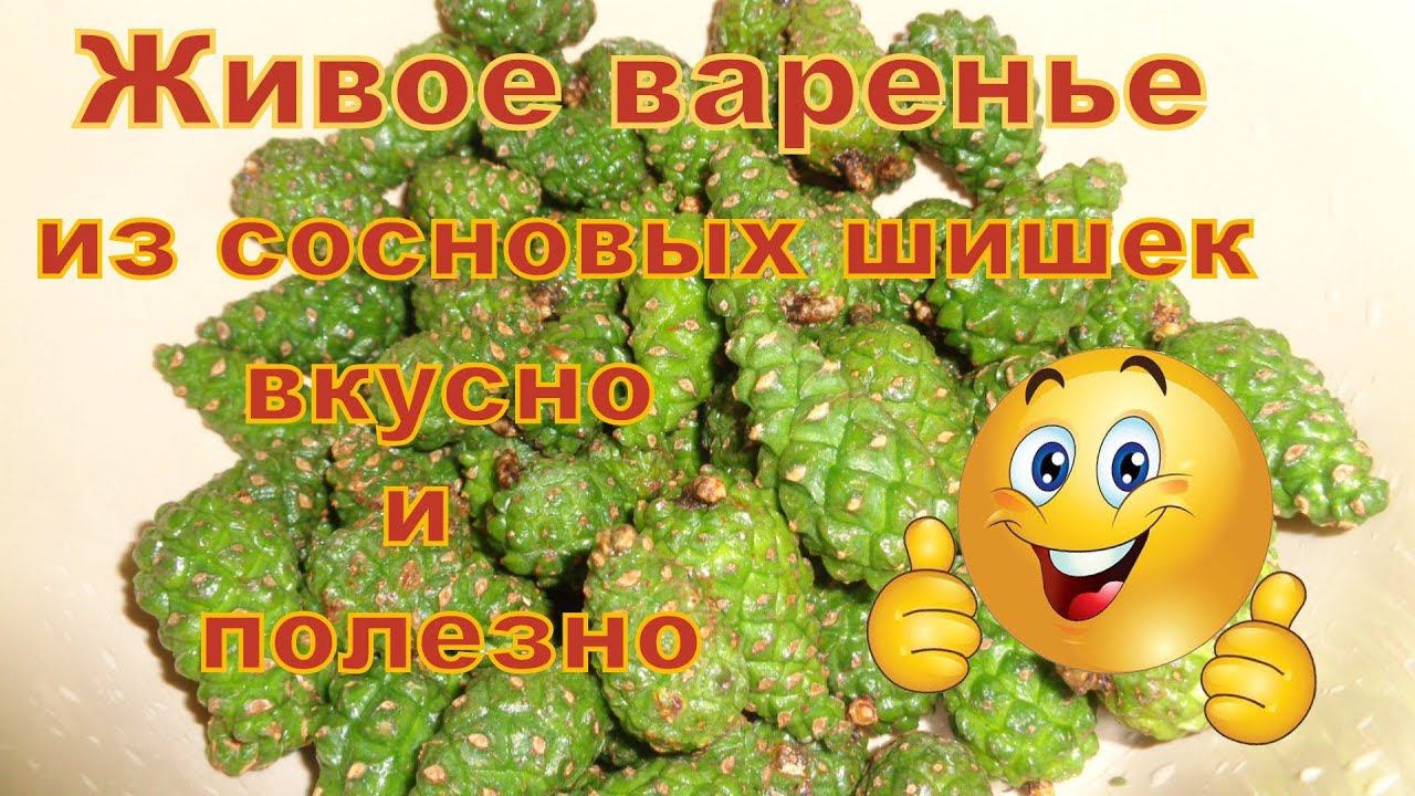 Живое варенье из сосновых шишек и настойка.Часть 2.