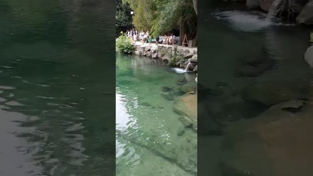 Большое третье озеро в Воронцовском парке. 07.2021г.