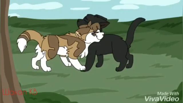 Коты воители - Остролистая- клип [грустная сука]