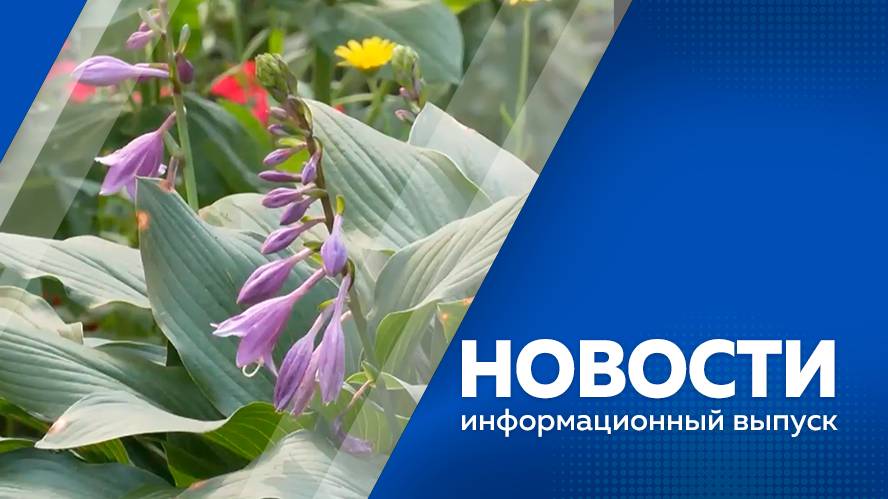 новости  010824