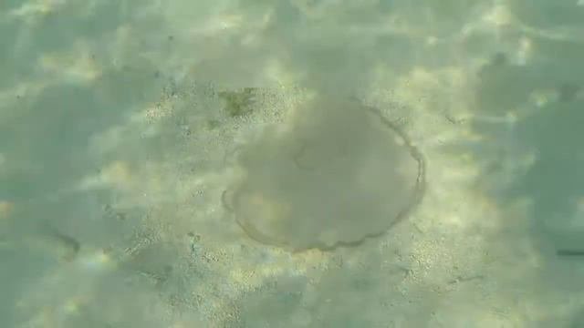 2014-11-03 Florida - Miami, Dry Tortugas NP, Everglades NP, and Biscayne NP