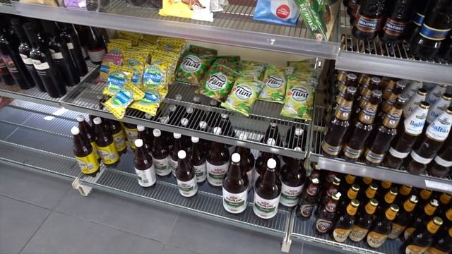 Нидерланды, Голодные птички на голом Голландском пляже.