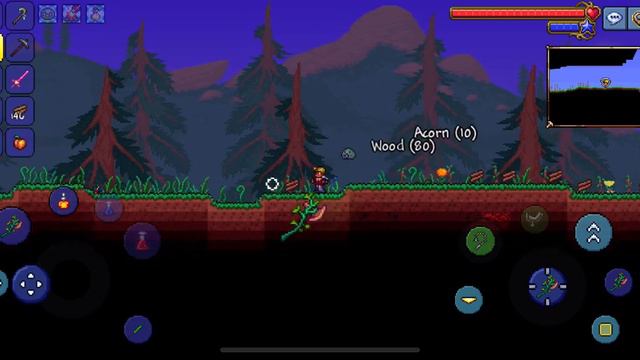 Terraria - Eye N Slime Bosses