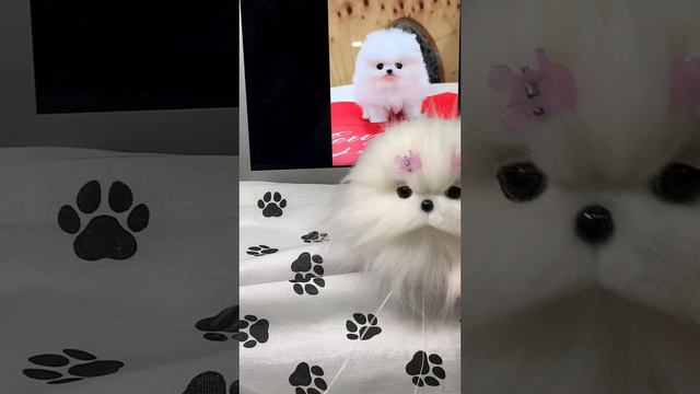 Чтобы люди что-то почувствовали 💔💔💔