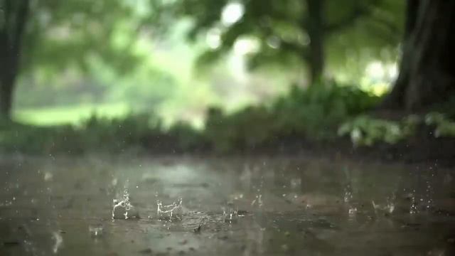 Клюев А.В.  НОВОЕ ВИБРАЦИОННОЕ ТЕЛО часть 1/ Притяжение Разума