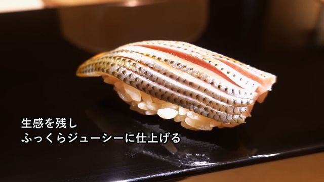 こだわりの酒肴に実直な握り！恵比寿の安定の寛ぎ空間にて20,000円おまかせフルコースを再び堪能！【恵比寿 鮨 ふじまさ】Omakase Sush Fujimasa【寿司138】