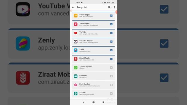 Magisk v24 + SafetyNet fix + Shamiko (Magisk hide replacement) for Evolution