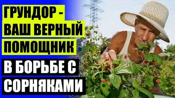 🔴 Как уничтожить борщевик на участке своими силами ❕