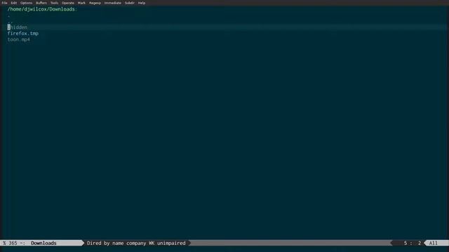 Hide the firefox.tmp directory or any file or directory in linux in gui apps and the command line