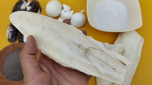 Java Birds Breeding Tips | Java Finch Colony Cage Setup & Seed Mix, Food | Java Sparrow Male Female