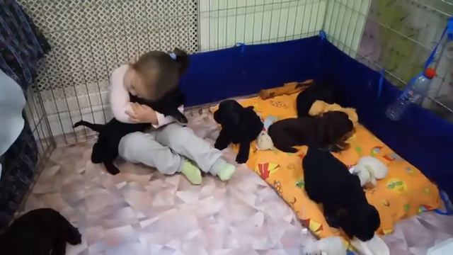 наши детки