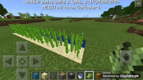 Наблюдатель. Автоматическая ферма тростника.