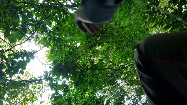 Рыбалка №2. Таскаю карпов.