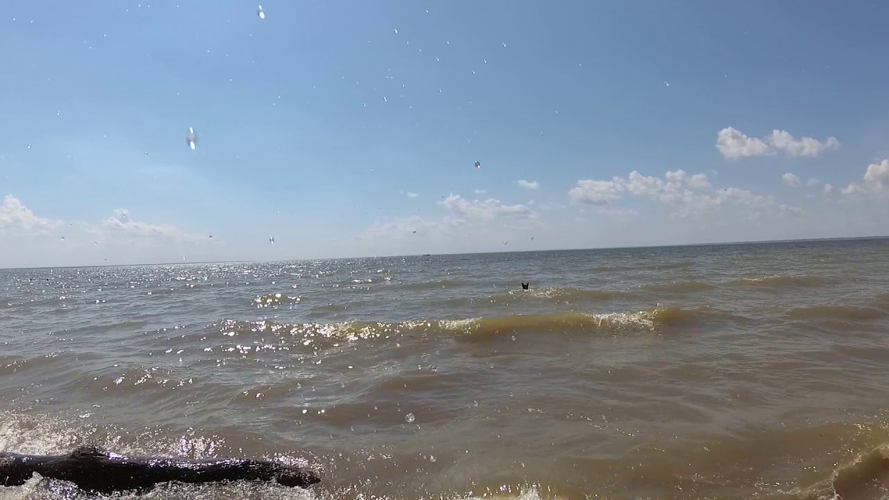 6 июля 2019 велосипед